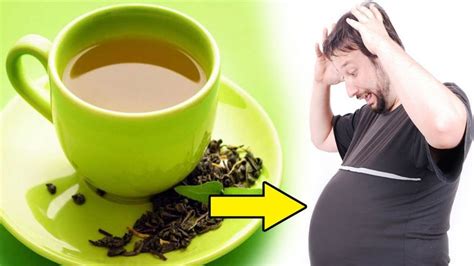 Bilakah masa yang betul untuk minum teh hijau? Ini Waktu Terbaik Minum Teh Hijau Jika Mahu Berat Badan ...