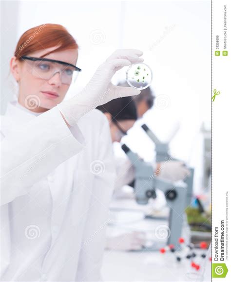 Student analyzing samples stock image. Image of beautiful - 31258699
