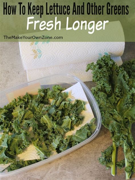 How great is a caesar salad when you get a bite of lettuce, drenched in dressing, and a crispy crouton? How To Keep Lettuce, Romaine, Kale and other greens fresh ...