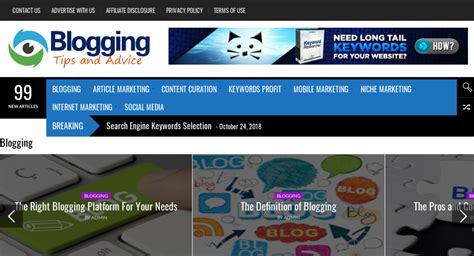 bloggingguru site — starter site sold on flippa get 20 niche websites with automatic