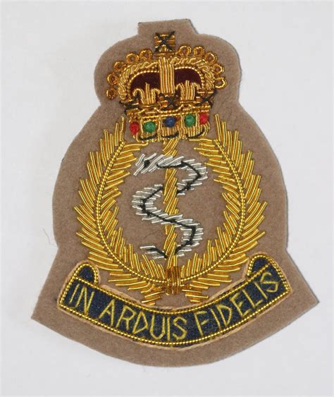 British Army Sas Ramc Special Air Service Medical Officers Beret Badge