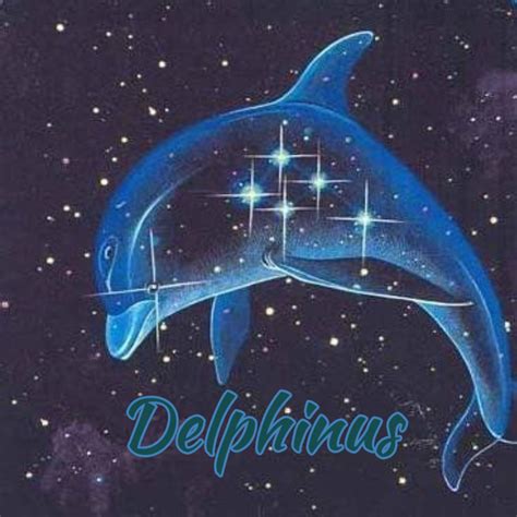Delphinus The World Aloha