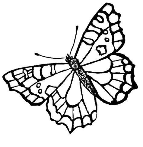 As with other realistic butterfly coloring pages, this one too has a bit more detail added to it, so it's best suited for kids in kindergarten and older. Butterfly Coloring Pages (15) Coloring Kids - Coloring Kids