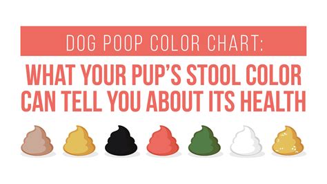 Dog Poop Color Chart A Vet Explains The Meaning Of Colors Chegospl