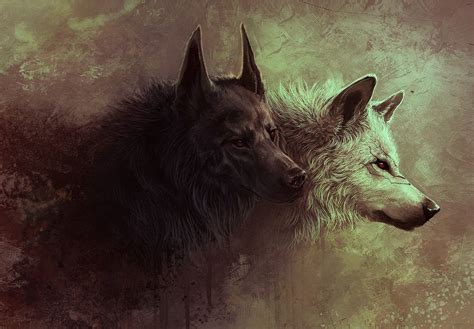 3d Painting Of Black And White Wolfs Wolf Digital Art