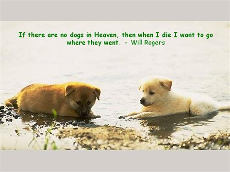 We are here for a spell and pass on. Heaven Quotes Will Rogers Dogs. QuotesGram