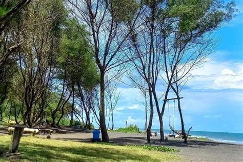 15 Pantai Di Bantul Yogyakarta Terbaru 2023