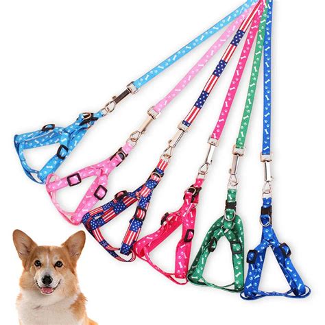 Puppy Harness And Leash Set Cute Printing Small Dog Harness Leads Nylon