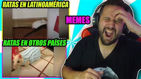 Reaccionando A Memes Demasiado Buenos Acabo Llorando 🤣 Youtube
