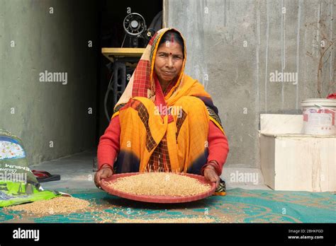 Happy Indian Women Cleaning Food Grains Stock Photo Alamy