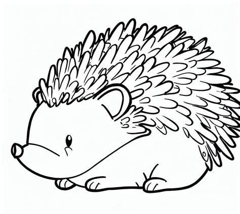Share 81 Best Hedgehog Coloring Pages Download And Print For Free