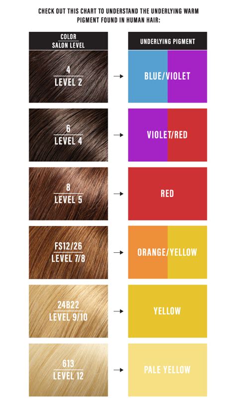 Level 8 Hair Color Chart Goimages Park
