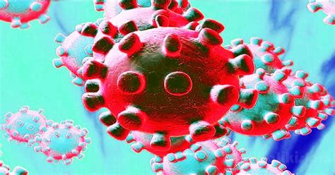 It was first identified in december 2019 in wuhan,. Dibalik Islam