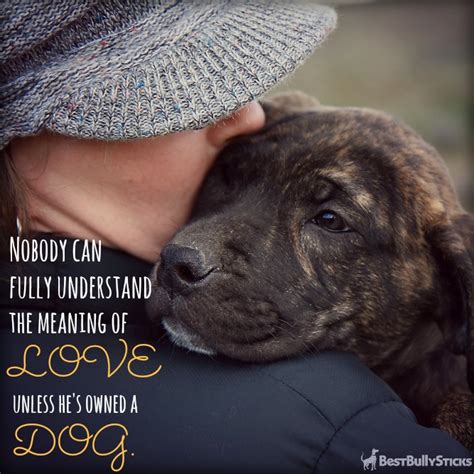 Quotes About Loving Your Dog Quotesgram