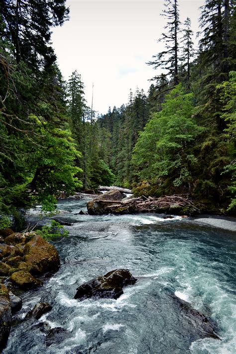 Travel Olympic National Park in Washington, USA - The WoW Style