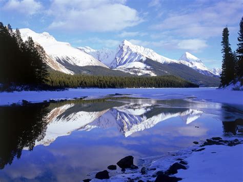 Reflection Landscape Photography Of Mountain Near Lake And Pine Trees