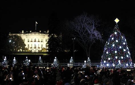 Photos Obamas Light Up National Christmas Tree In The Us News