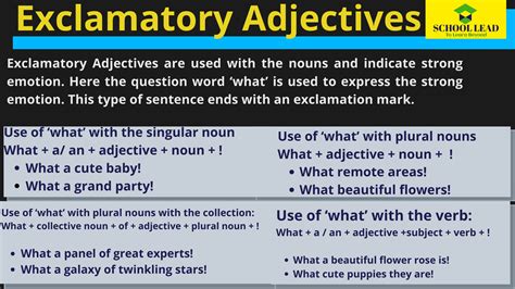 Proper Adjectives Definition Examples And List Onlymyenglish ZOHAL