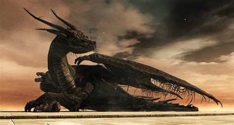 Dragon Dark Souls Dragons Fandom Powered By Wikia