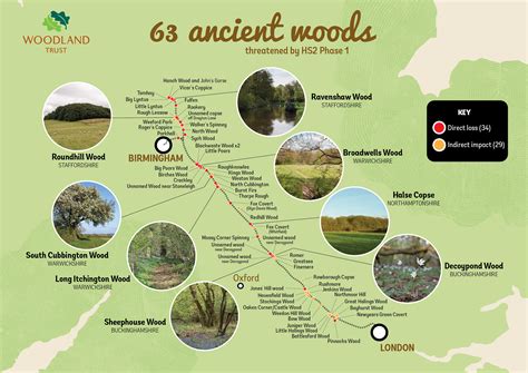 Stop Hs2 Ancient Woodland