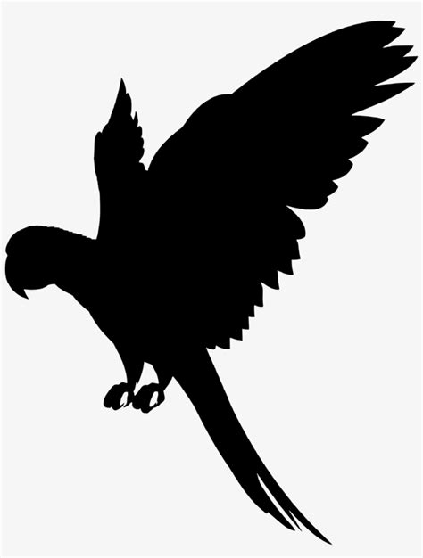 Vector Graphics Flying Parrot Silhouette 1005x1280 Png Download