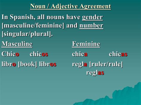 In Spanish All Nouns Have Gender [masculine Feminine] And Number [singular Plural] Masculine