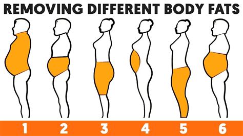 6 Types Of Body Fats And How To Get Rid Of Them Youtube