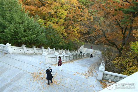 팔공산자연공원동화사지구 대구광역시 동구 가볼만한곳