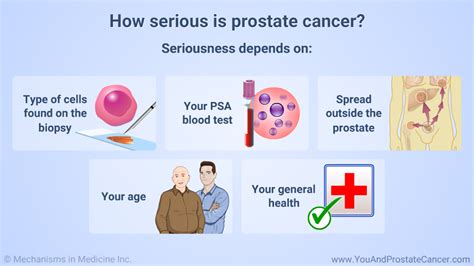 Slide Show Understanding Prostate Cancer