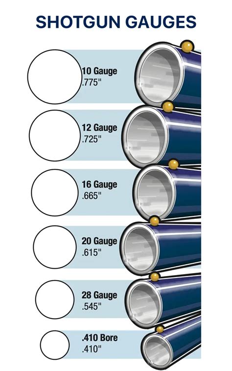 28 Gauge Vs 410 Shotgun Which Is Best