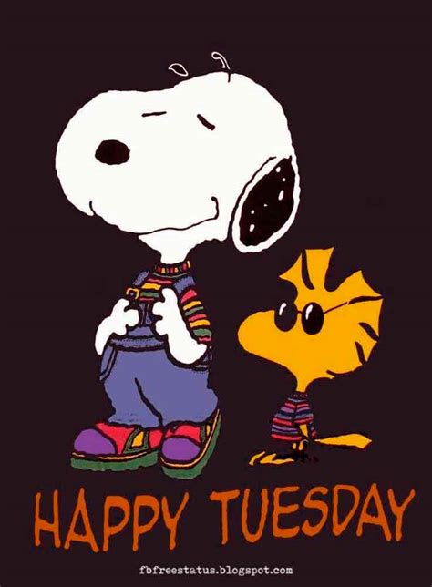 Tuesday is only the beginning of the week. Happy & Funny Tuesday Quotes With Images, Pictures