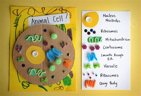 Build A Model Of A Cell Hiatt 8th Grade Science
