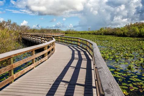 Top 10 Things To Do In Everglades National Park 2020 Bookonboard