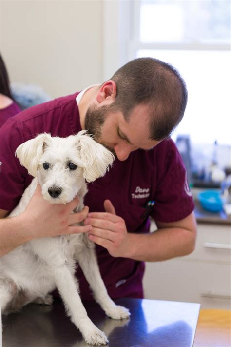 Our Veterinary Health Care Team