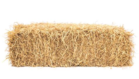 Building A House With Bales Of Straw Believe It 55 Plus Magazine