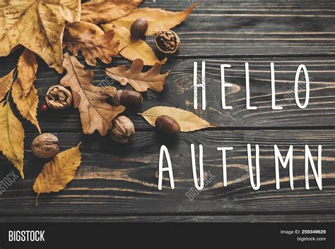 Hello Autumn Text Image And Photo Free Trial Bigstock