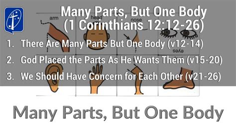 Many Parts But One Body 1 Corinthians 1212 26 Youtube