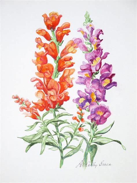 Snapdragon Painting