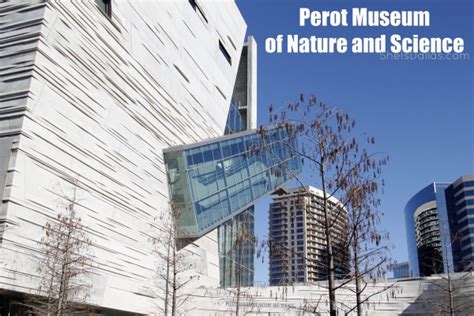Perot Museum Of Nature And Science Dallas Kids Activities Blog
