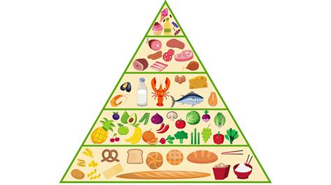 The unit was designed to align with the usda food pyramid & plate guidelines for balanced meals. A Guide to the Food Pyramid...... Be Careful!