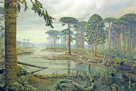 Fossils Show Antarctica Had Dense Forests Long Before Dinosaurs Existed
