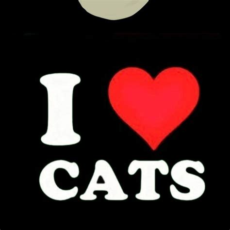 T Shir Roblox I Love Cats Fotos De Garotas Tumblr Imagens De Camisas