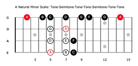 Bass Scales For Beginners A Complete Guide