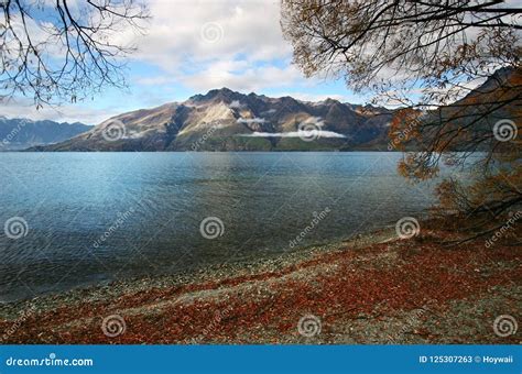 Picturesque Mountain Lake And Pebble Beach Covered With Fallen Red