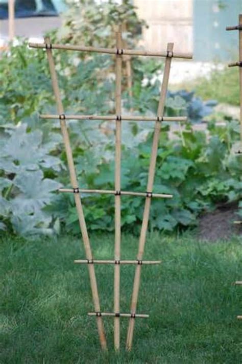 Diy Bamboo Trellis For Potted Plants Ena Vest Hot Sex Picture