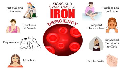 You can also get more iron in your diet by eating more of these foods 10 Warning Signs You May Have Iron Deficiency | Symptoms ...
