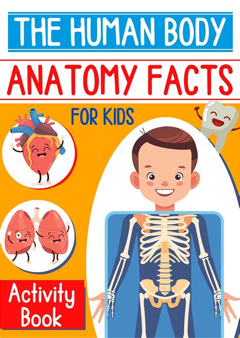 The Human Body Anatomy Facts And Activity Book For Kids Explore The