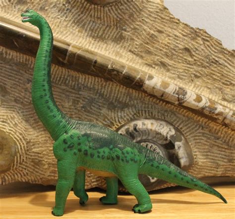 Brachiosaurus 1996 Wild Safari By Safari Ltd Dinosaur Toy Blog