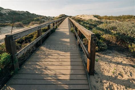Rustic Wooden Beach Boardwalk Through Sand Dunes Leading To The Beach