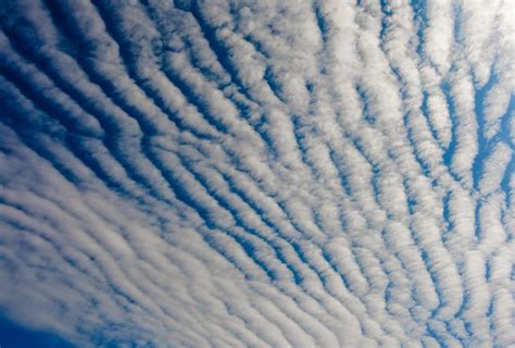 What Is Cirrocumulus With Pictures